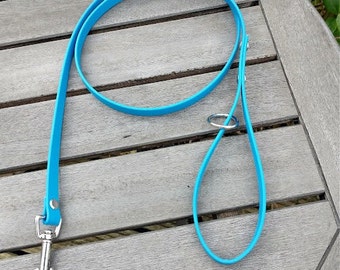 May include: A bright blue dog leash with a silver clip and ring. The leash is made of a durable material and is perfect for walking your dog.