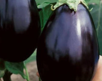 200 Semi Di Melanzana Bianca A Forma D'Uovo (Solanum) - Pianta Commestibile, Da Orto, Made In Spain