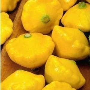 Może przedstawiać: Grupa ośmiu żółtych dyni patty pan na drewnianej powierzchni.
