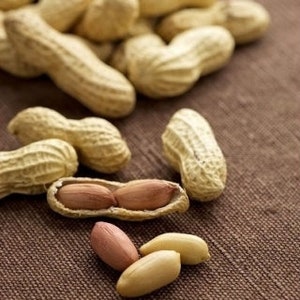 Peanut 5 seeds, Araxhis hypogea, GMO Free