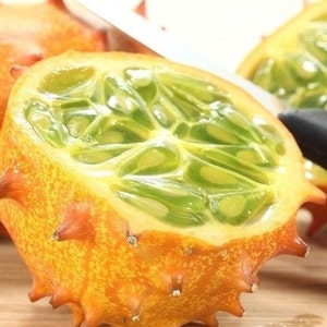 Kiwano Fruit, Horned melon, GMO free, 30 Seeds