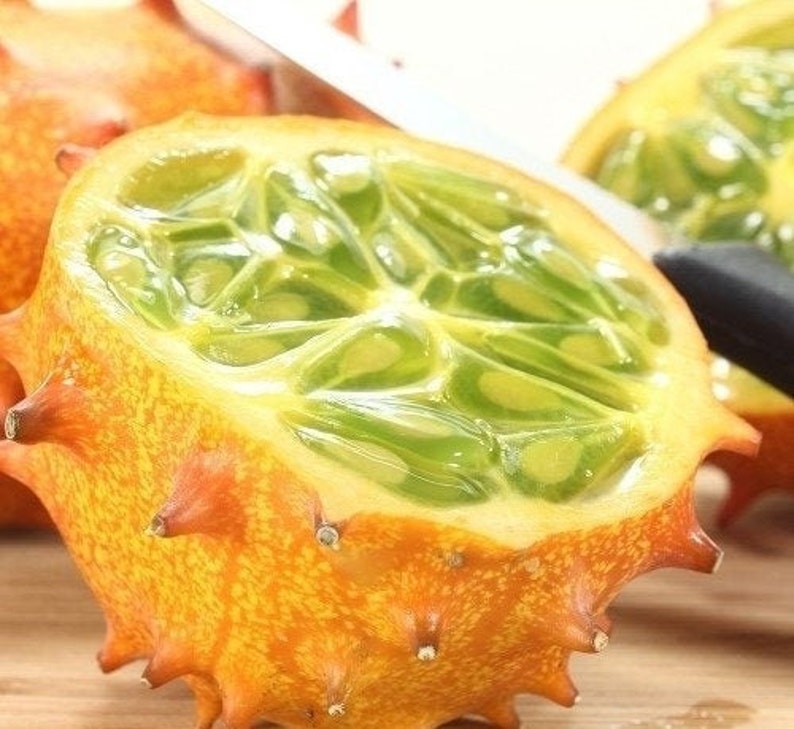 Kiwano Fruit Horned melon GMO free 30 Seeds Etsy