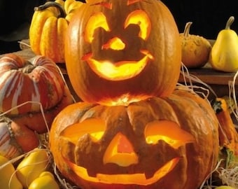 Puede incluir: Dos calabazas talladas con velas encendidas en su interior. La calabaza de arriba tiene una cara sonriente y la calabaza de abajo tiene una expresión más seria. Las calabazas están rodeadas de otras calabazas y heno.