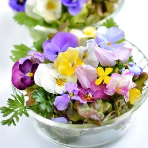 La mezcla de flores comestibles, libre de OMG - Semillas