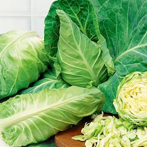 Witte kool - Express, 1g / 100 biologische zaden, Brassica Oleracea L. Var. Capitata F. Alba, GMO-vrij