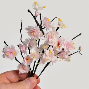 Fiori di ciliegio commestibili - Decorazione per torta di ciliegio / Decorazioni per dessert delicate e naturali