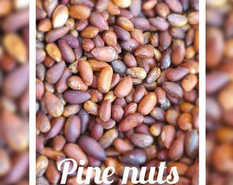 Soft Shell Pinenuts Fresh Pine Nuts 2023 Harvest