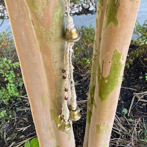 May include: A set of four gold bells hanging from a tree branch. The bells are attached to a string with brown beads. The bells are hanging from a tree with brown and green bark.