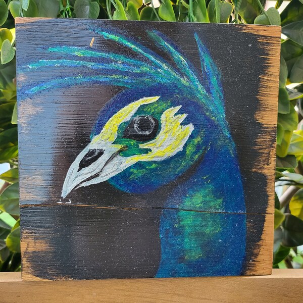 Schedelvogel acryl op bamboe schilderij