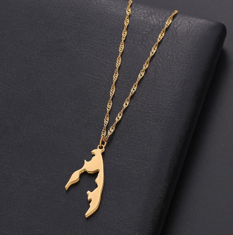 Tamil Eelam Pendant Necklace 2.5cm Gold Etsy