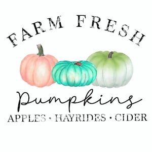 Farm fresh pumpkins png - fall design - farm sublimation