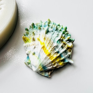 3D Realistic Sea Shell Silicone mold - Seashell Clay Mold - Seashell Resin Mold - Sea Shell Soap Mold
