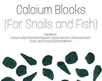 Aquatic Snail Calcium Blocks with Spirulina (Supplement for Snails, Fish, and Shrimp) Homemade!!!