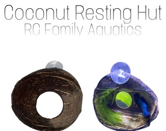 THE ORIGINAL Handmade Coconut Resting Area