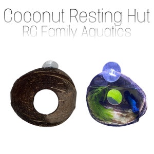 THE ORIGINAL Handmade Coconut Resting Area