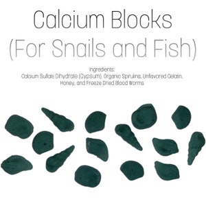 Aquatic Snail Calcium Blocks with Spirulina (Supplement for Snails, Fish, and Shrimp) Homemade!!!