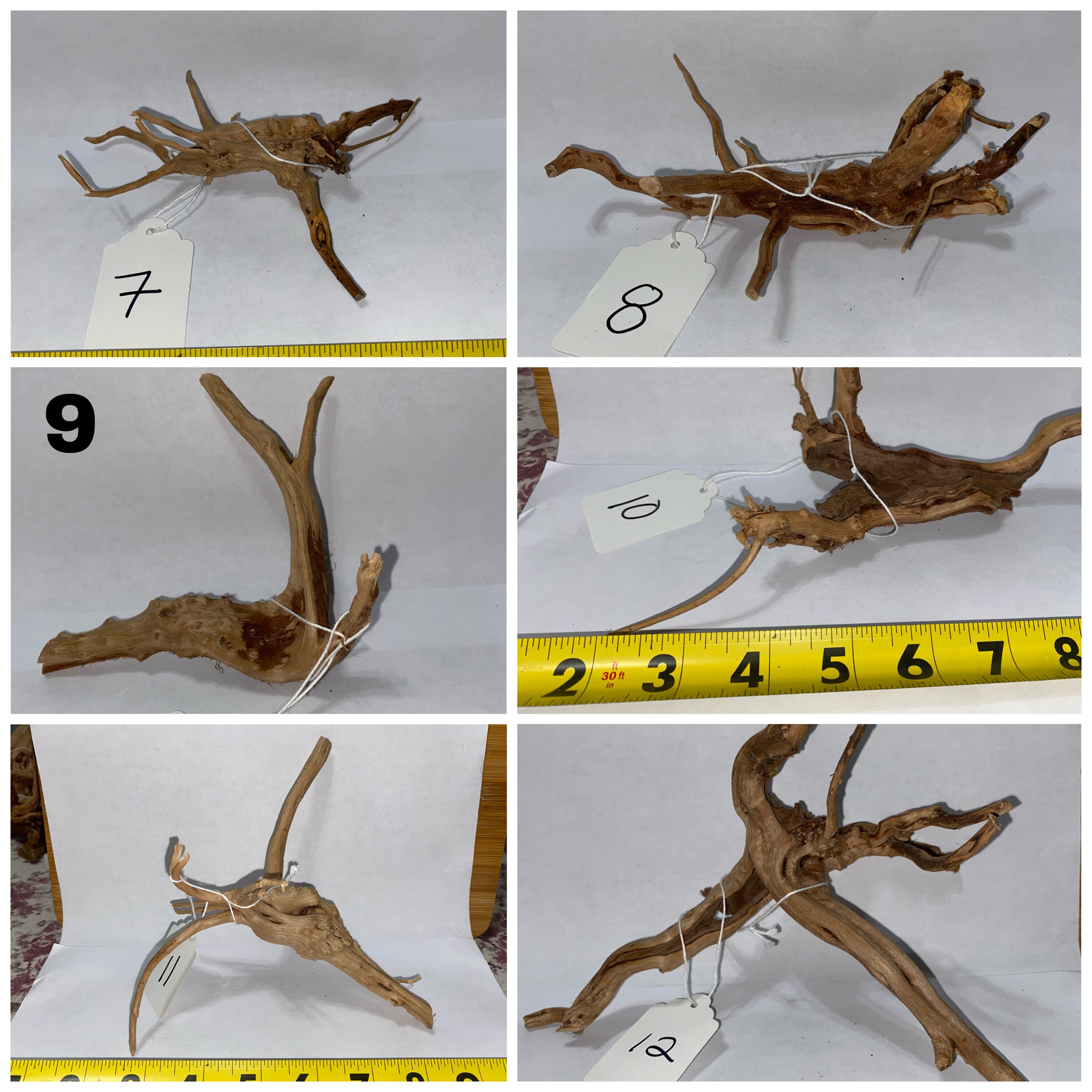 Aquarium Spider Wood / Nano Wood unique Sizes and Forms Know Etsy