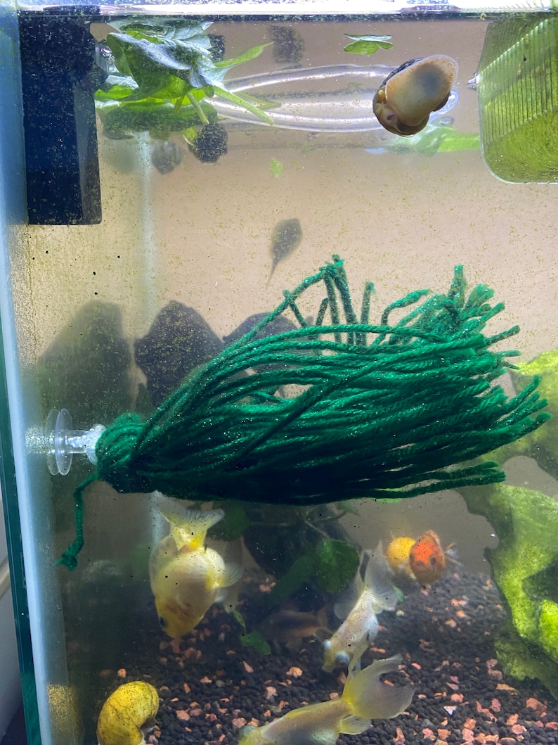 Goldfish Spawning Mop goldfish Breeding Mop 512 Etsy Australia