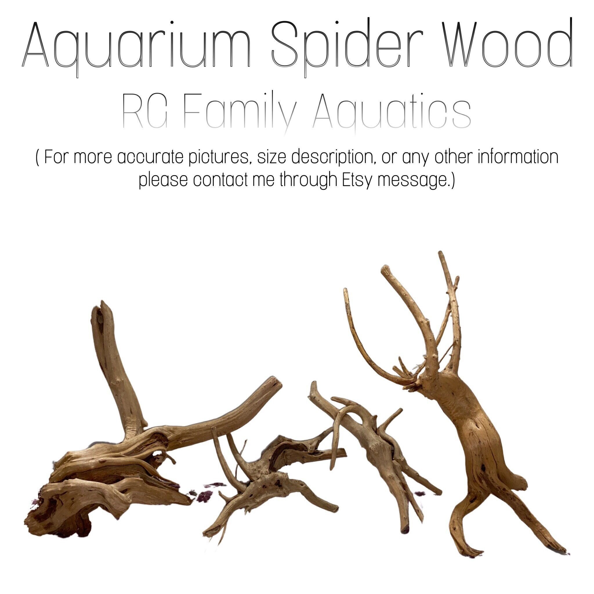 Aquarium Spider Wood / Nano Wood unique Sizes and Forms Know Etsy