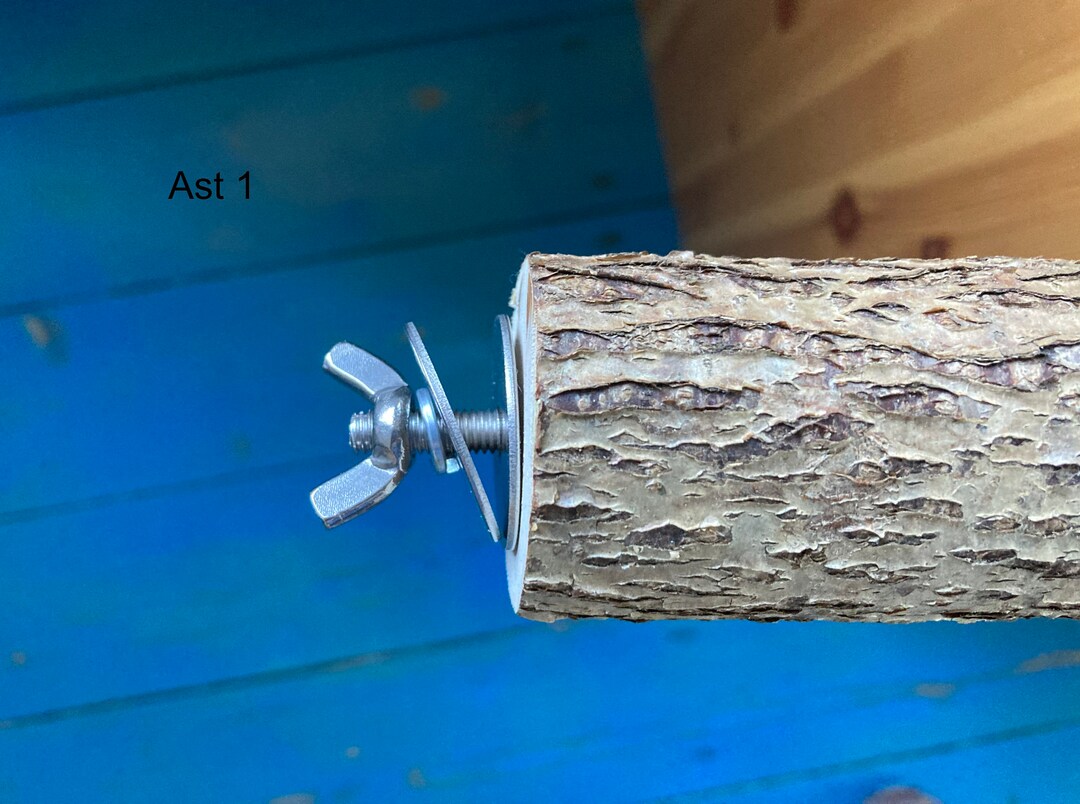 Perches With Fastening, Hazelnut, Natural Wood, Branches, Birds