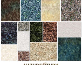 Lot de 14 coupons de tissu Fat Quarter – Collection Nature Study