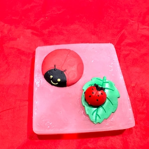Lady Bug Mold