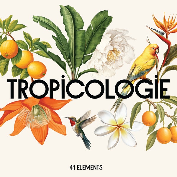 TROPICOLOGIE : Tropical Watercolor Illustrations, Vintage Clipart Set, Botanical clipart, Exotic Birds and Plants, Jungle Illustration