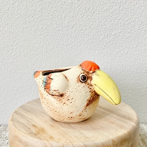 Ceramic Succulent Pot | Cute Toucan Planter for Small Plants | Drainage Included