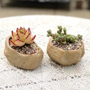 Natural Rock-Textured Pot | Ceramic Pots With Drainage