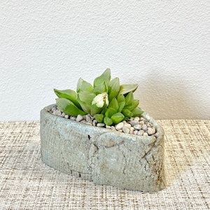 Rustic Cement Succulent Planter, Textured Stone-Look Pot with Drainage for Indoor, Minimalist Home Decor