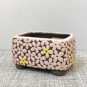 Ceramic Succulent Pot for Arrangements and Large Succulents | Green and Pink Planters | Drainage Included
