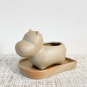 Cute Succulent Pot with Saucer for Water Drops | Ceramic Planter With Drainage
