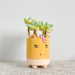 Unicorn and Frog Succulent Pots | Cute Planters | Ceramic Pots With Drainage