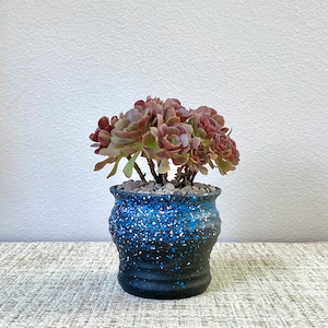 May include: A potted succulent plant with reddish-purple leaves. The plant sits in a black ceramic pot with blue and white speckled paint. The pot is filled with small gray pebbles.