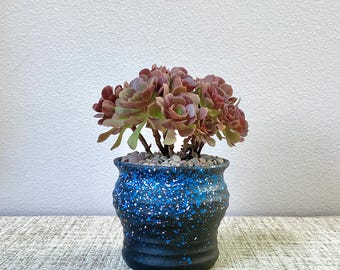 Blue Starry Planter | Succulent Pots Made From Terracotta | Drainage Included