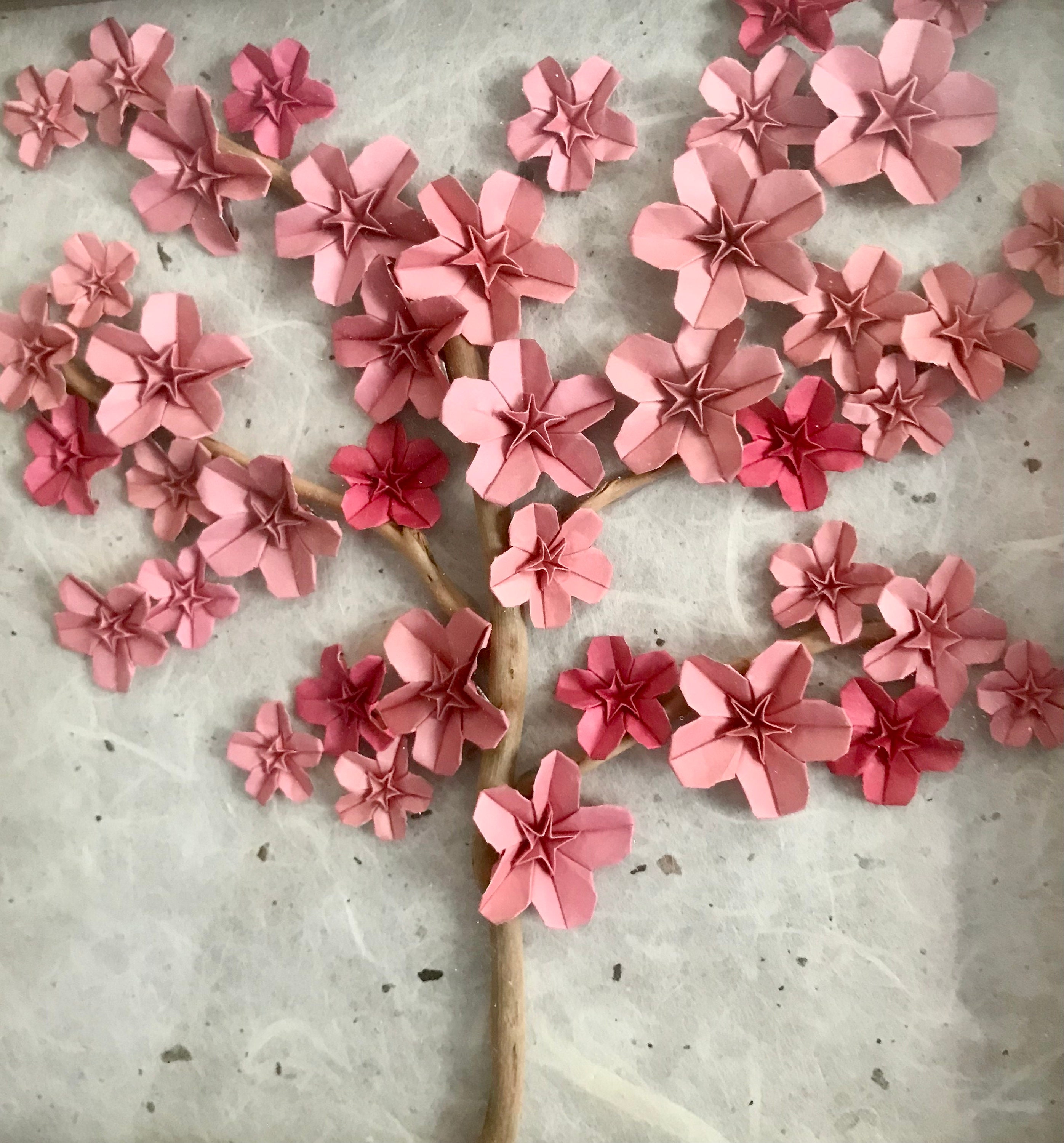 Framed Origami Cherry Blossom Tree 9x9in gift wall art Etsy