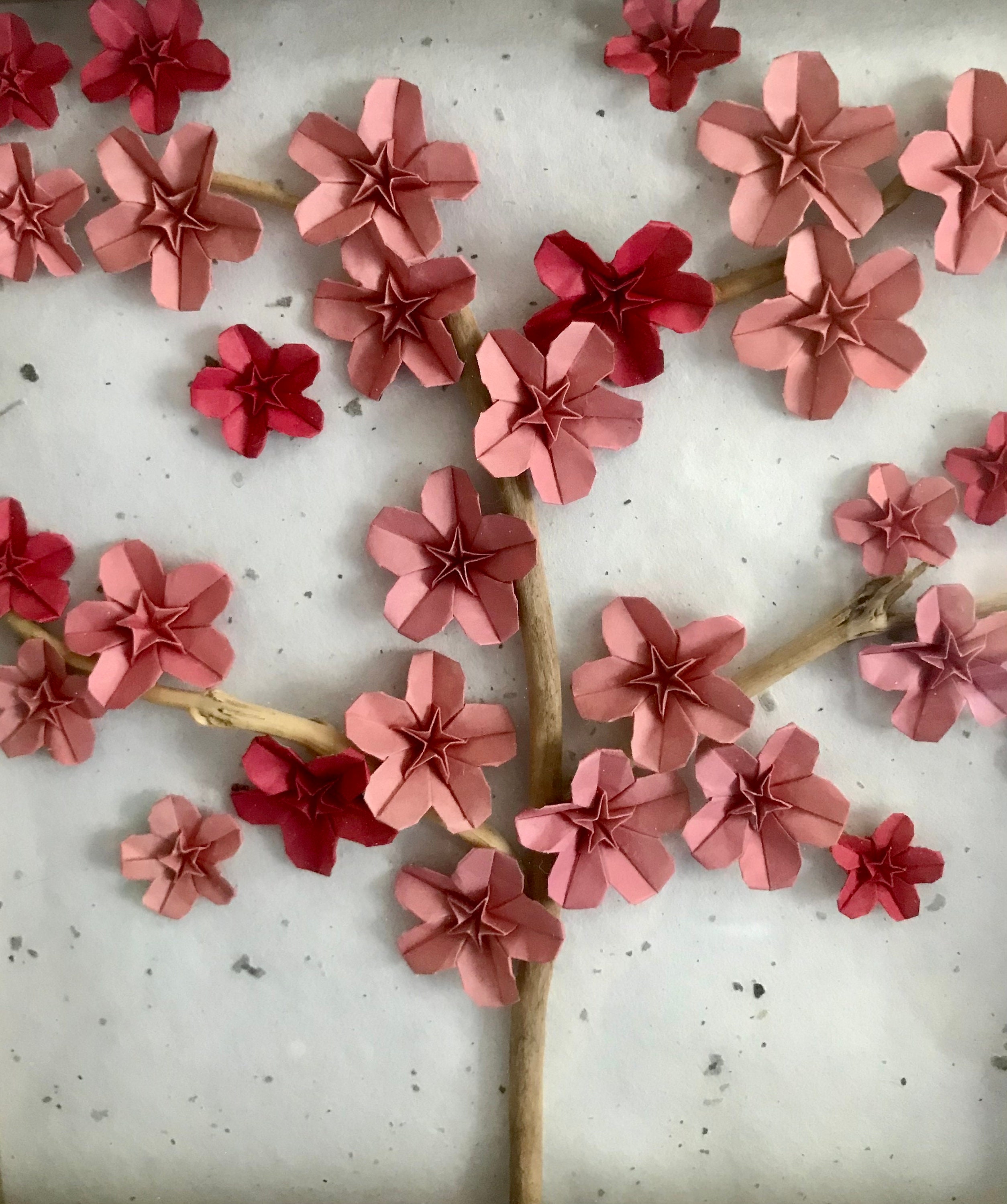 Framed Origami Cherry Blossom Tree 9x9in gift wall art Etsy