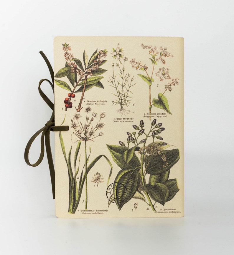Antique Botanical Soft Italian Leather Journal, Notebook with Tie Handmade in Italy image 5