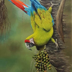 Hyper Realistisches Grüner Papagei Ölgemälde | Regenwald-inspiriertes handgefertigtes Kunstwerk auf Leinwand | Handgemachte Vogel Kunst auf Leinwand |
