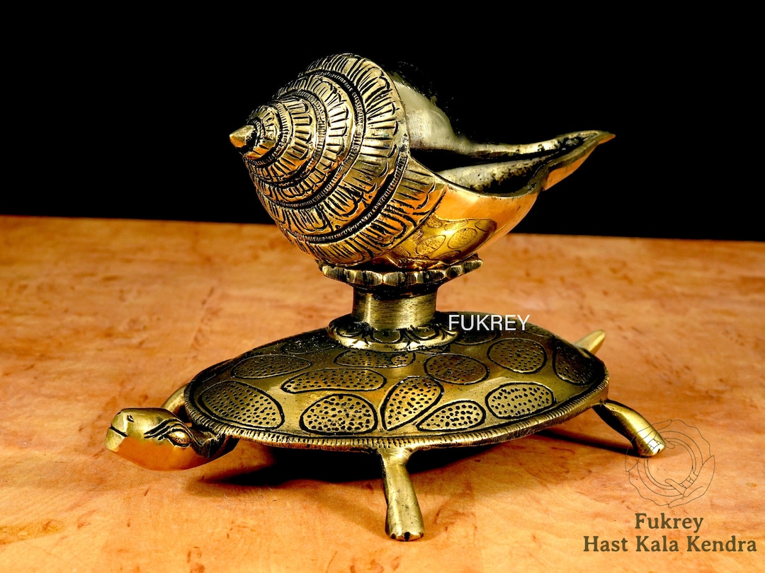 Turtle Shell Conk 8