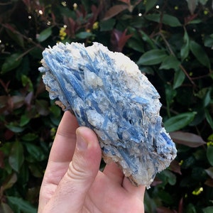 Large Gemmy Blue Kyanite in Schist Crystal Specimen High Quality Kyanite Crystal Home Decor Meditation Crystals Third Eye & Crown Chakra