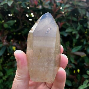 Smokey Quartz Laser Quartz Crystal with Rainbows Smoky Lemurian Lemuria Healing Crystal Point Smoky Lemurian Quartz Barcode Striations