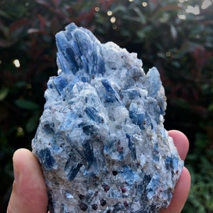 Gemmy Blue Kyanite and Garnet in Quartz Crystal Specimen Quality Kyanite Crystal Home Décor Meditation Crystals Third Eye & Crown Chakra