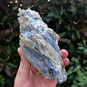Large Gemmy Blue Kyanite in Schist Crystal Specimen High Quality Kyanite Crystal Home Decor Meditation Crystals Third Eye & Crown Chakra