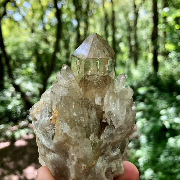 Kundalini Citrine Natural Cascading Smoky Citrine Cluster Genuine Citrine Kundalini Quartz Sunny Citrine with Rainbows Raw Citrine Quartz