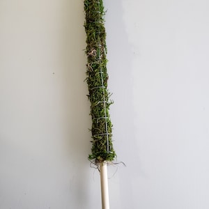 Skinny Moss Pole ~ Plant Totem ~ Monstera Support ~ Aroid Climbing Pole ~ Plant Growth Stake