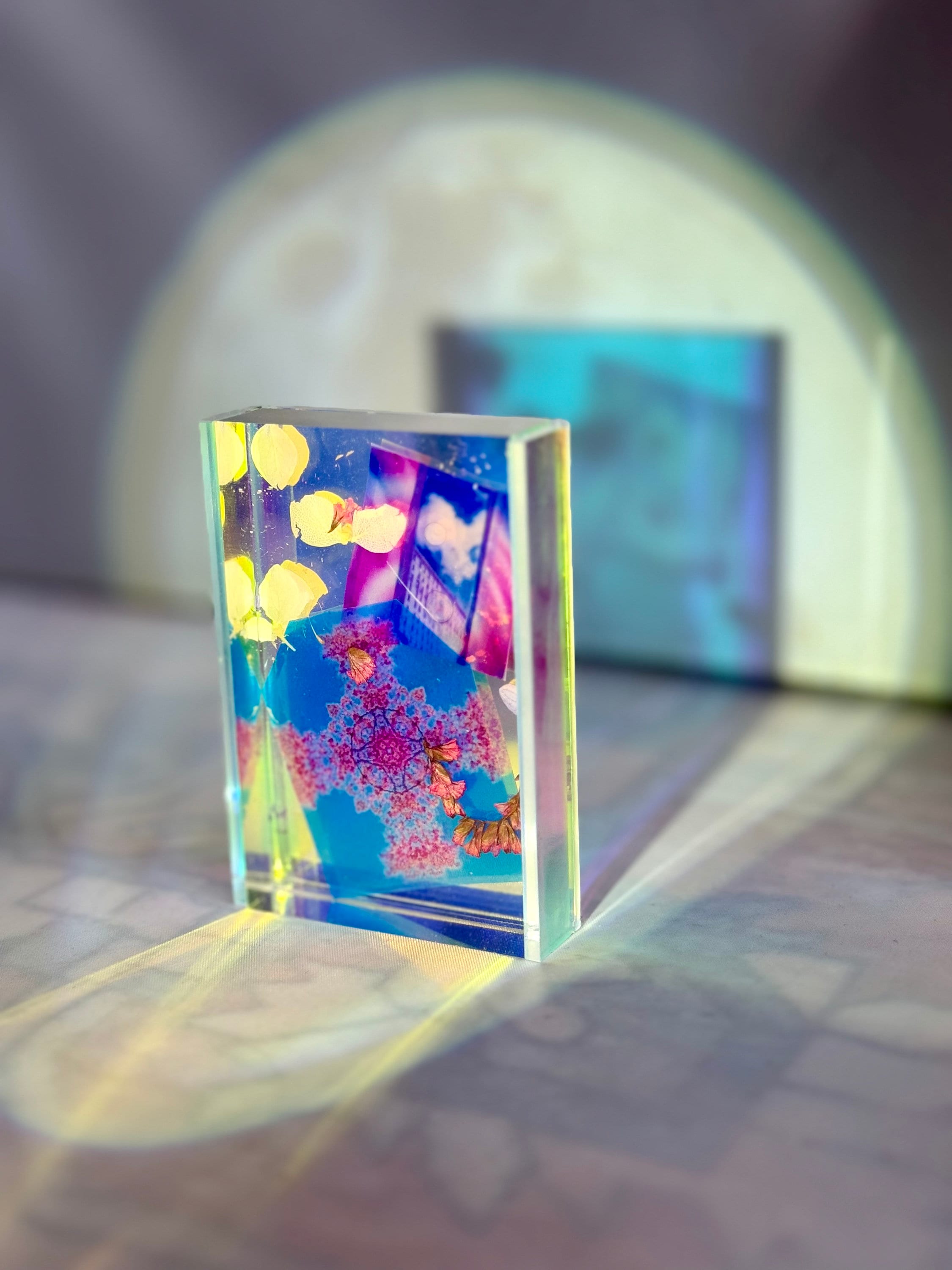 Dichroic Frame With Transparency Collage and Dried Flowers - Etsy