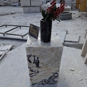 Pu&ograve; includere: Un cubo di marmo bianco con venature nere e dorate, utilizzato come tavolino da salotto decorativo. Un vaso nero con un rametto di bacche rosse &egrave; posto sopra il tavolo. Il testo "Thomas Marble" &egrave; visibile su un cartello in primo piano.