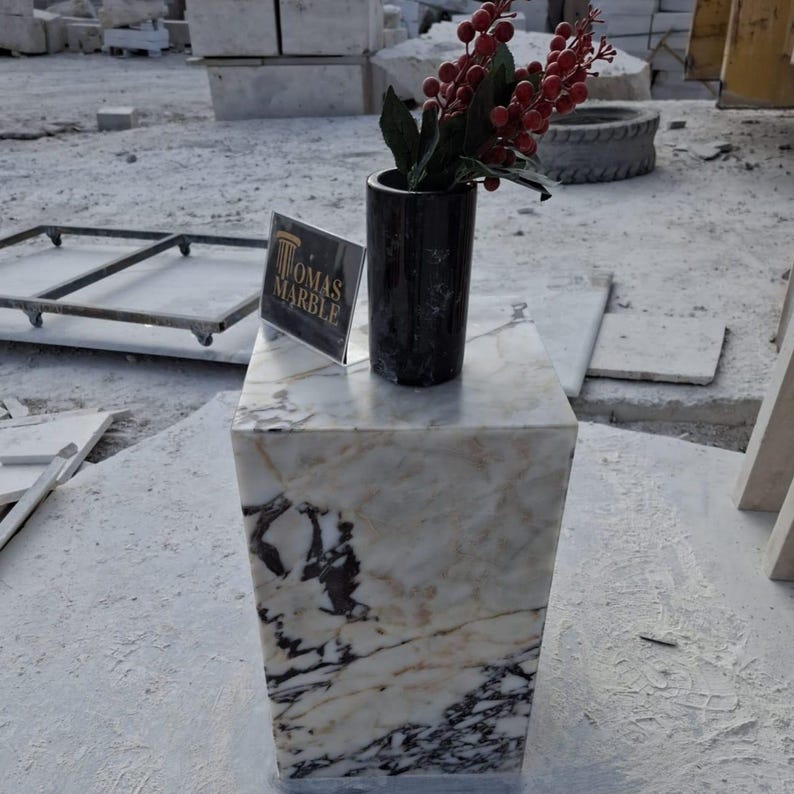 Pu&ograve; includere: Un cubo di marmo bianco con venature nere e dorate, utilizzato come tavolino da salotto decorativo. Un vaso nero con un rametto di bacche rosse &egrave; posto sopra il tavolo. Il testo "Thomas Marble" &egrave; visibile su un cartello in primo piano.