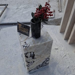 Pu&ograve; includere: Un piedistallo in marmo bianco con un vaso nero pieno di bacche rosse. Il piedistallo ha un cartello con la scritta "Thomas Marble".